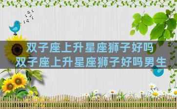 双子座上升星座狮子好吗 双子座上升星座狮子好吗男生